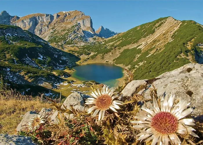 Lejlighed Dicka Alpbach