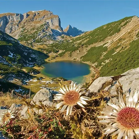 Apartamento Dicka Alpbach