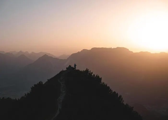 Dicka アルプバッハ